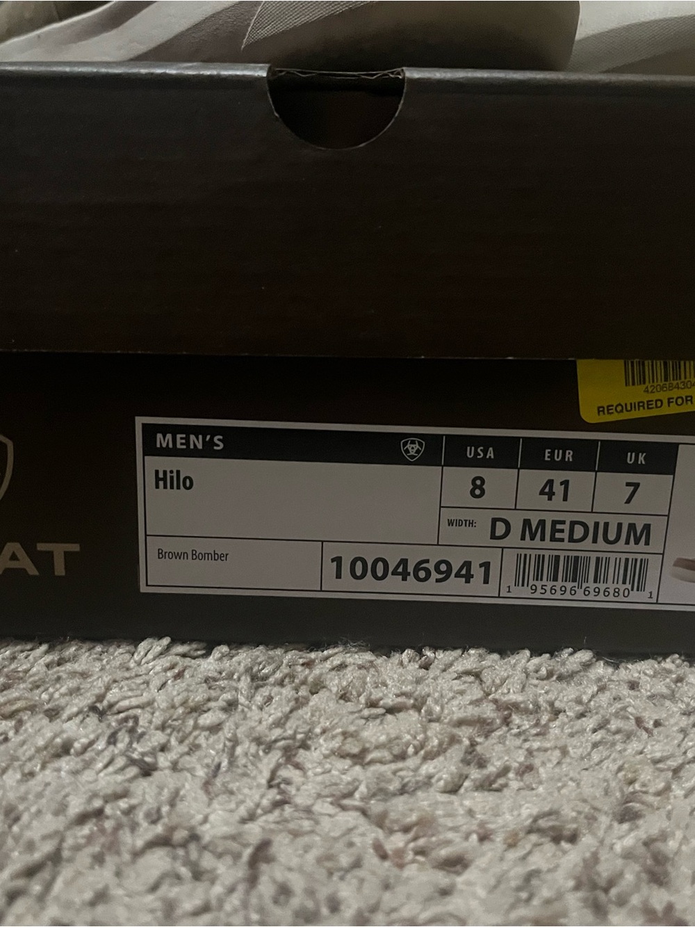 Men’s Ariat shoes